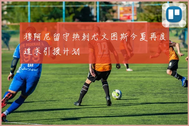 穆阿尼留守热刺尤文图斯今夏再度追求引援计划