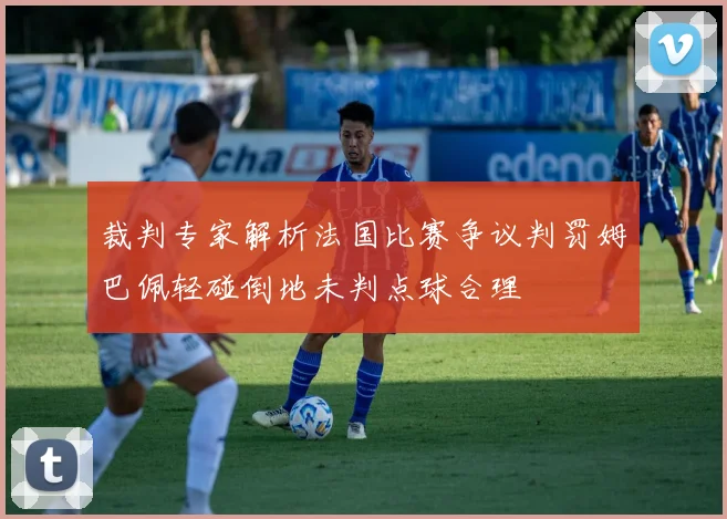 裁判专家解析法国比赛争议判罚姆巴佩轻碰倒地未判点球合理
